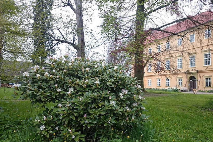 Turistické listy Potomek Palackého a Riegra otevírá jejich památník na zámku v Malči Výletník